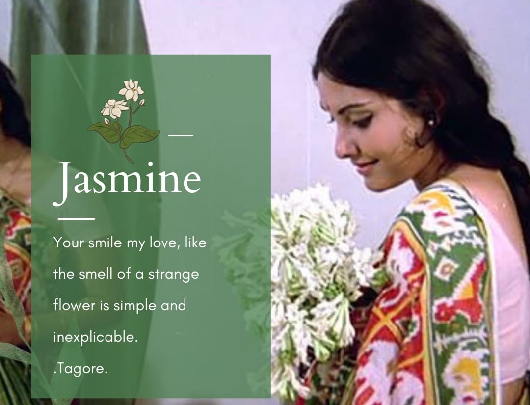 jasmine