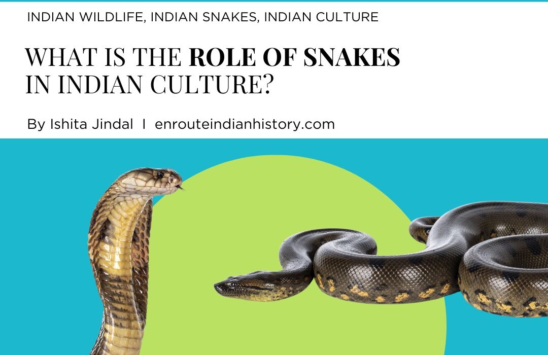 Snakes
