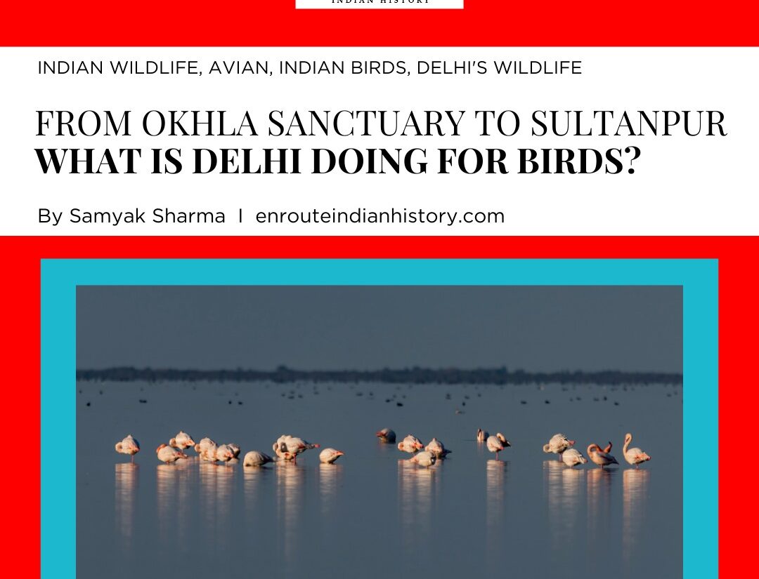 Okhla Sanctuary