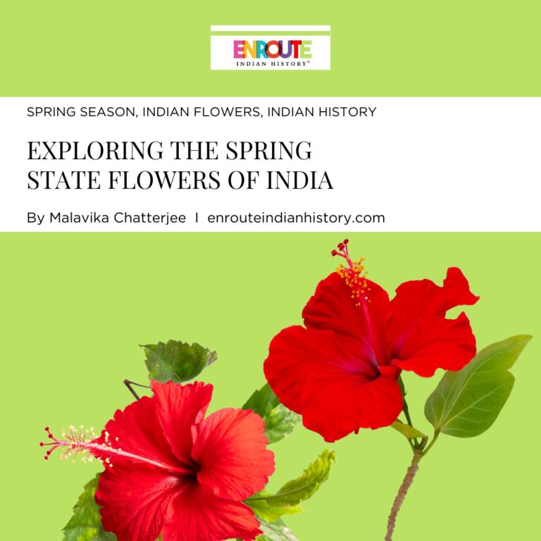 Exploring the Spring State Flowers of India