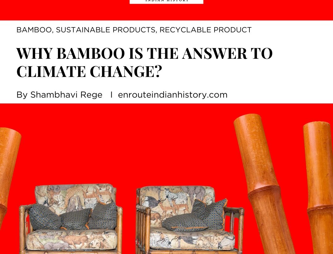 Bamboo