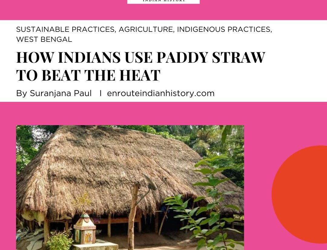 Paddy Straw