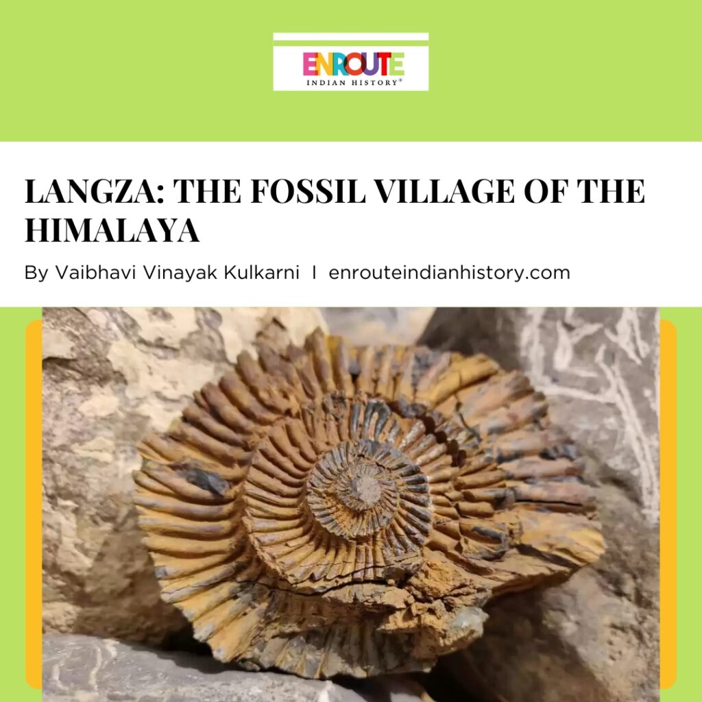 Langza Fossils