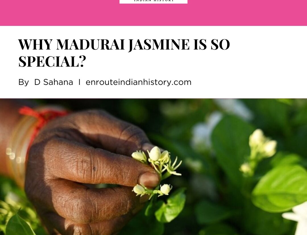 Madurai jasmine