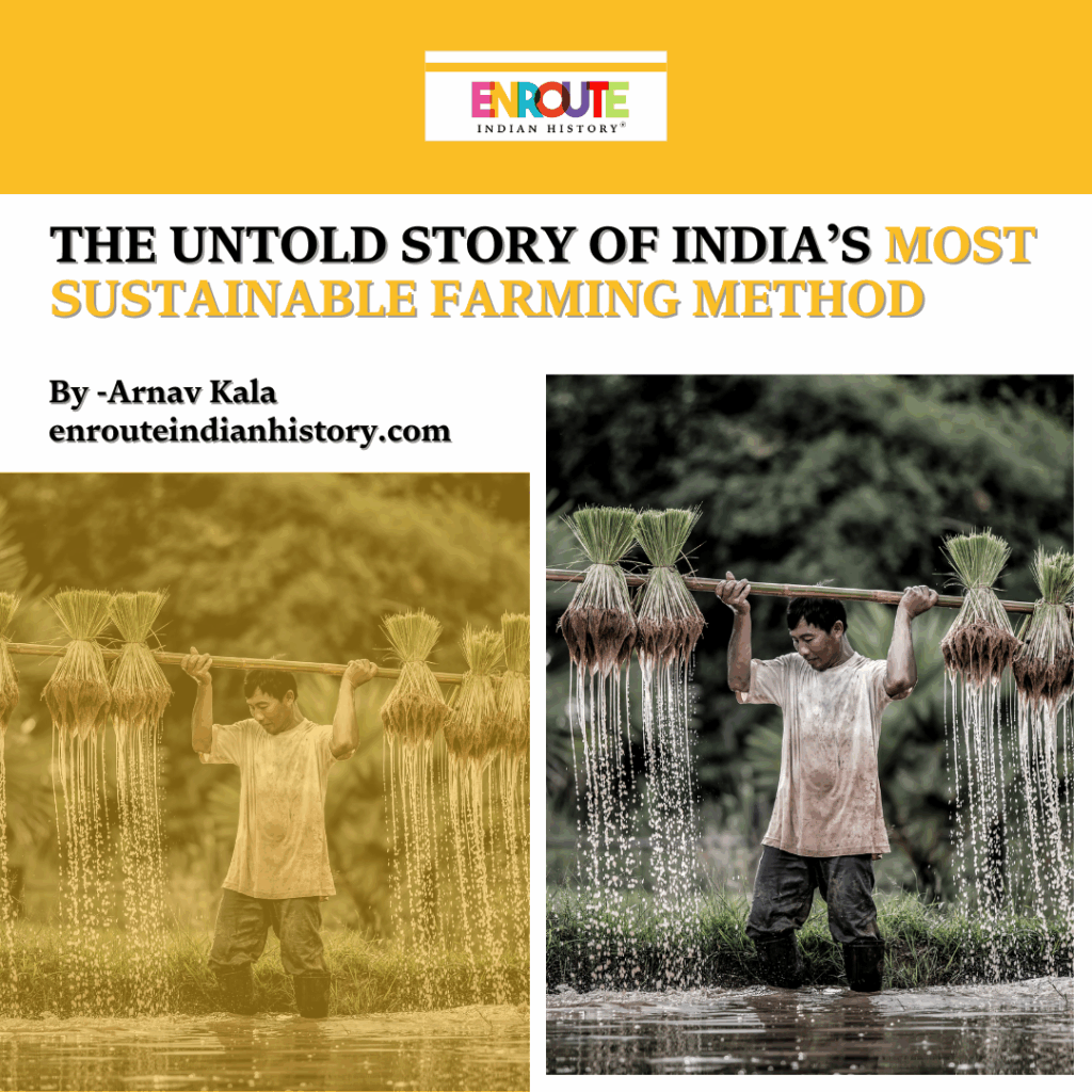The Untold Story of India’s Most Sustainable Farming Method - Enroute ...